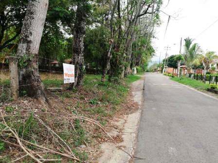 VENTA LOTE - PINCHOTE PP45864