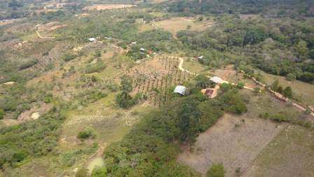 VENTA FINCA - VEREDA PARAMITO PC48874