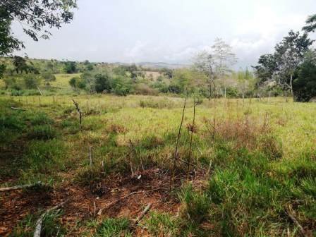 VENTA FINCA - VEREDA PARAMITO PC48874