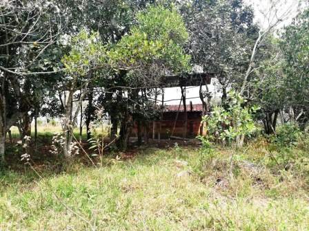 VENTA FINCA - VEREDA PARAMITO PC48874