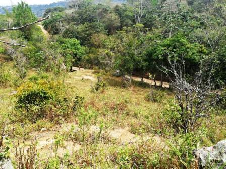 VENTA FINCA - VEREDA PARAMITO PC48874