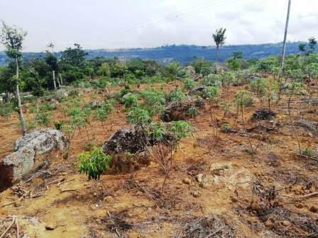 VENTA FINCA - VEREDA PARAMITO PC48874