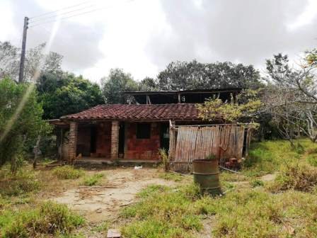 VENTA FINCA - VEREDA PARAMITO PC48874