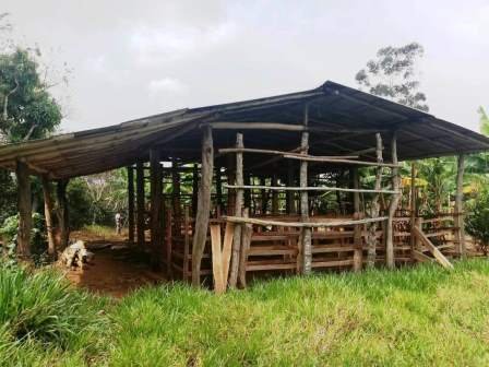 VENTA FINCA - VEREDA PARAMITO PC48874
