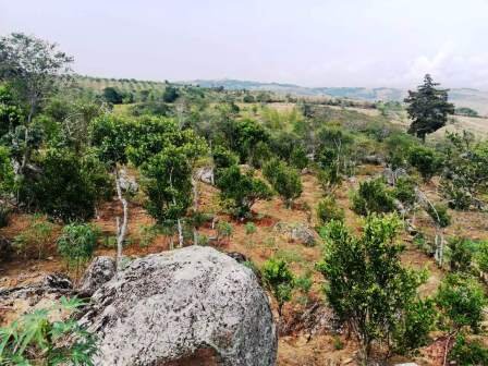 VENTA FINCA - VEREDA PARAMITO PC48874